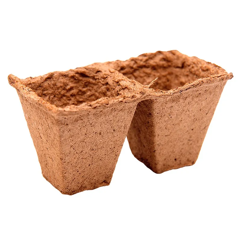 Des pots de tourbe Barquette 6X6 cm 12x1x2set