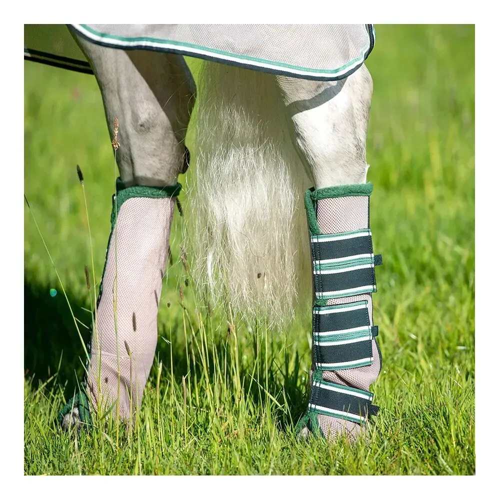 Horseware RAMBO - Guêtres anti-mouches oatmeal/sage