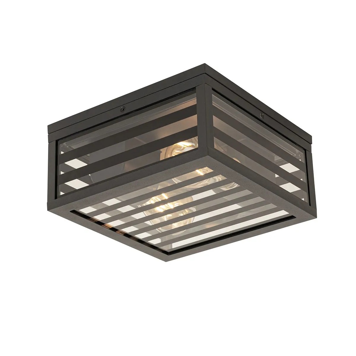 Plafonnier d'extérieur moderne verre noir 2 lumières IP44 - Reims